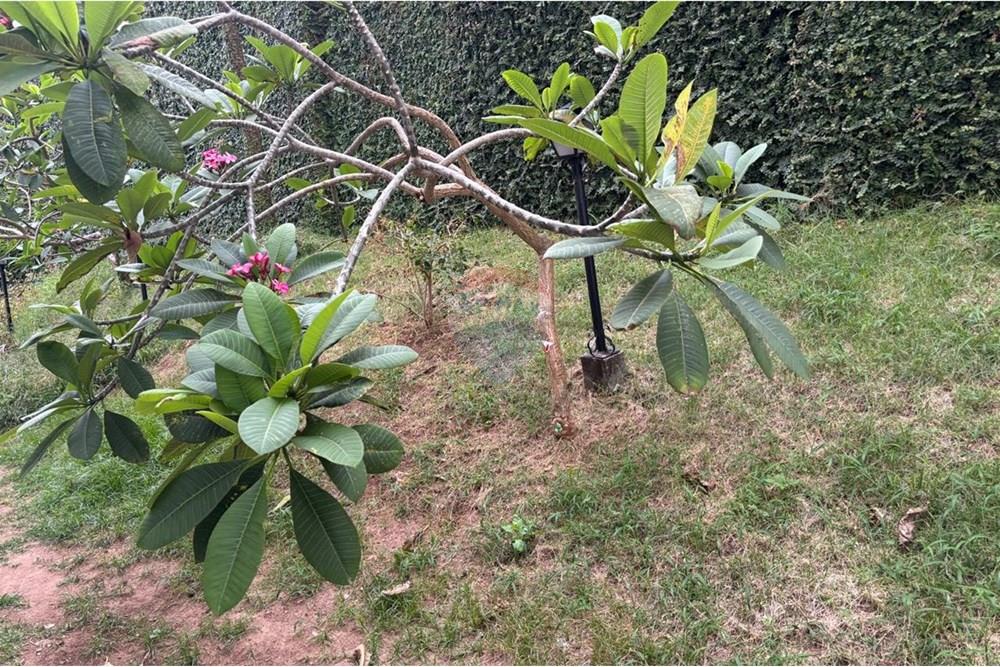 Apartamento - Alugar - Salvador , Bahia - WhatsApp Image 2025-10-09 at 23.29.12 (3).jpeg - 580761021-37