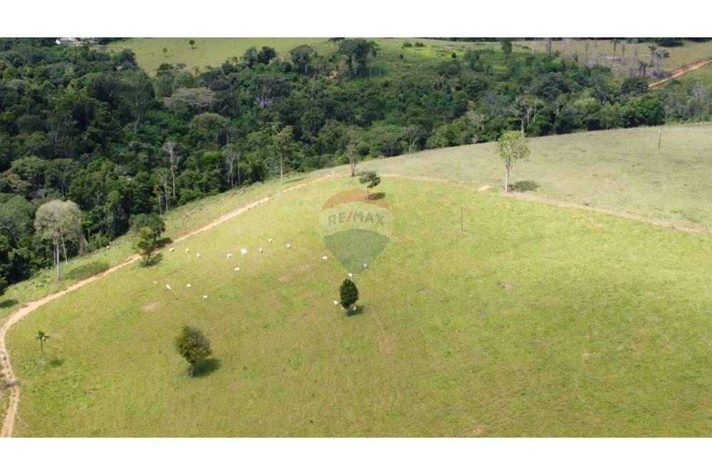 Chácara / Sítio / Fazenda - Venda - Itamaraju , Bahia - WhatsApp Image 2025-02-23 at 10.01.51.jpeg - 580751001-262