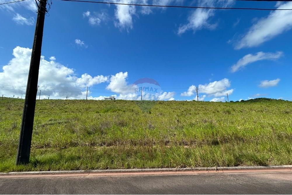 Terreno - Venda - Camaçari , Bahia - Imagem do WhatsApp de 2025-02-02 à(s) 16.52.04_40c11198.jpg - 580761015-62