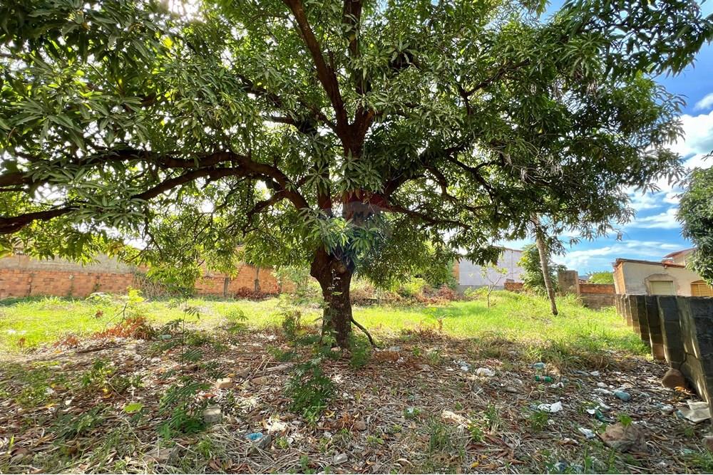 Terreno - Venda - Barreiras , Bahia - WhatsApp Image 2025-04-14 at 15.59.02.jpeg - 580651041-77