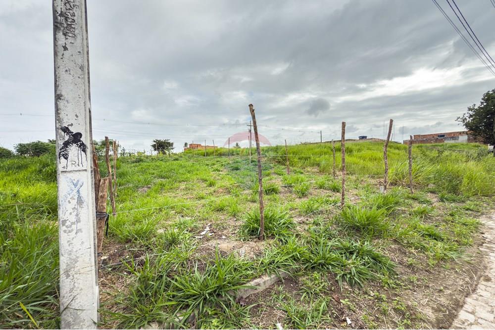 Terreno - Venda - Santo Antônio de Jesus , Bahia - IMG_1217 (1).jpg - 580341014-39