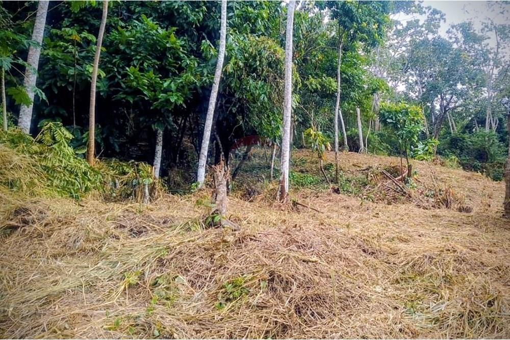 Terreno - Venda - Simões Filho , Bahia - WhatsApp Image 2025-09-18 at 08.40.09.jpeg - 580551064-45