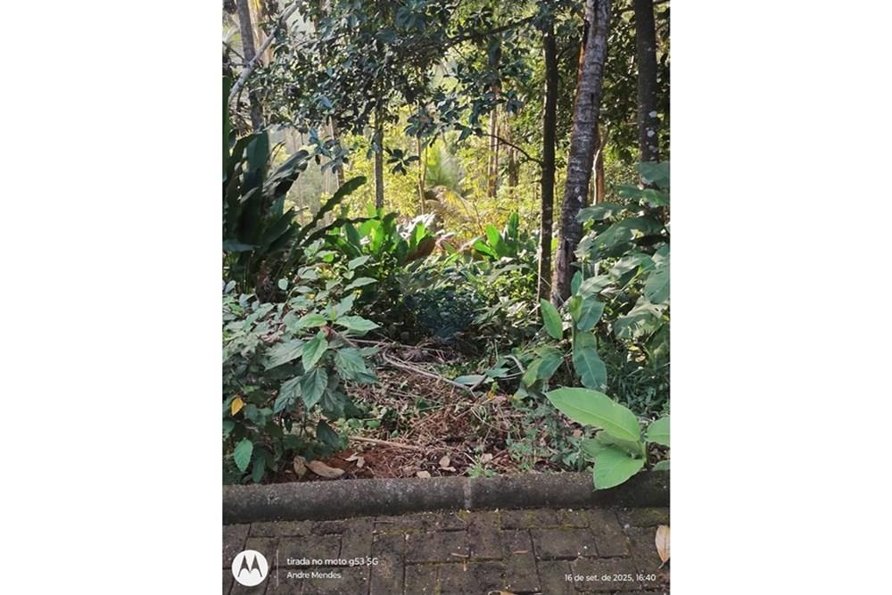 Terreno - Venda - Itacaré , Bahia - WhatsApp Image 2025-10-01 at 13.39.03.jpeg - 580331013-747