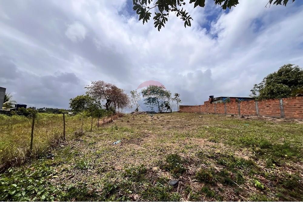 Terreno - Venda - Camaçari , Bahia - IMG_2972.jpg - 580491009-99