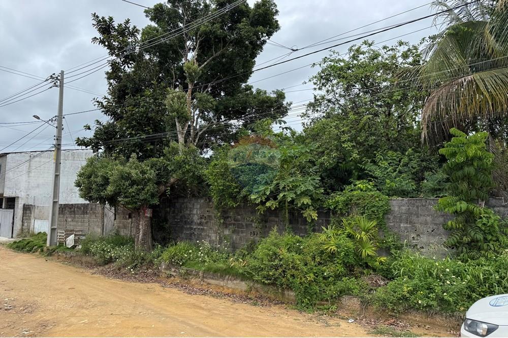 Terreno - Venda - Porto Seguro , Bahia - IMG_8707.jpg - 580531004-145