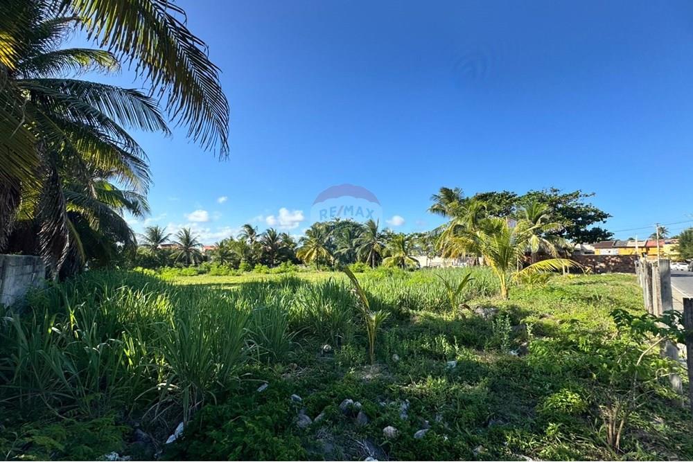 Terreno - Venda - Camaçari , Bahia - WhatsApp Image 2024-12-05 at 16.08.47 (1).jpeg - 580781002-15