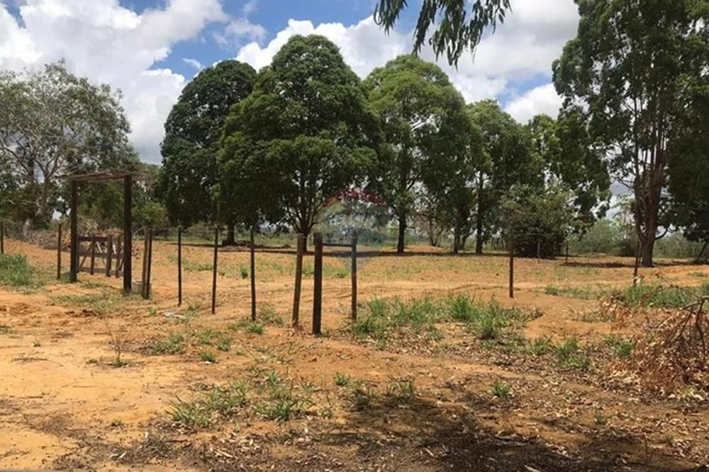 Chácara / Sítio / Fazenda - Venda - Vitória da Conquista , Bahia - WhatsApp Image 2025-05-29 at 14.13.47.jpeg - 580831002-80