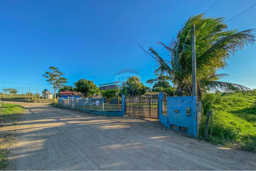 Chácara / Sítio / Fazenda - Venda - Santo Antônio de Jesus , Bahia - IMG_5635 (1).jpg - 580341046-21