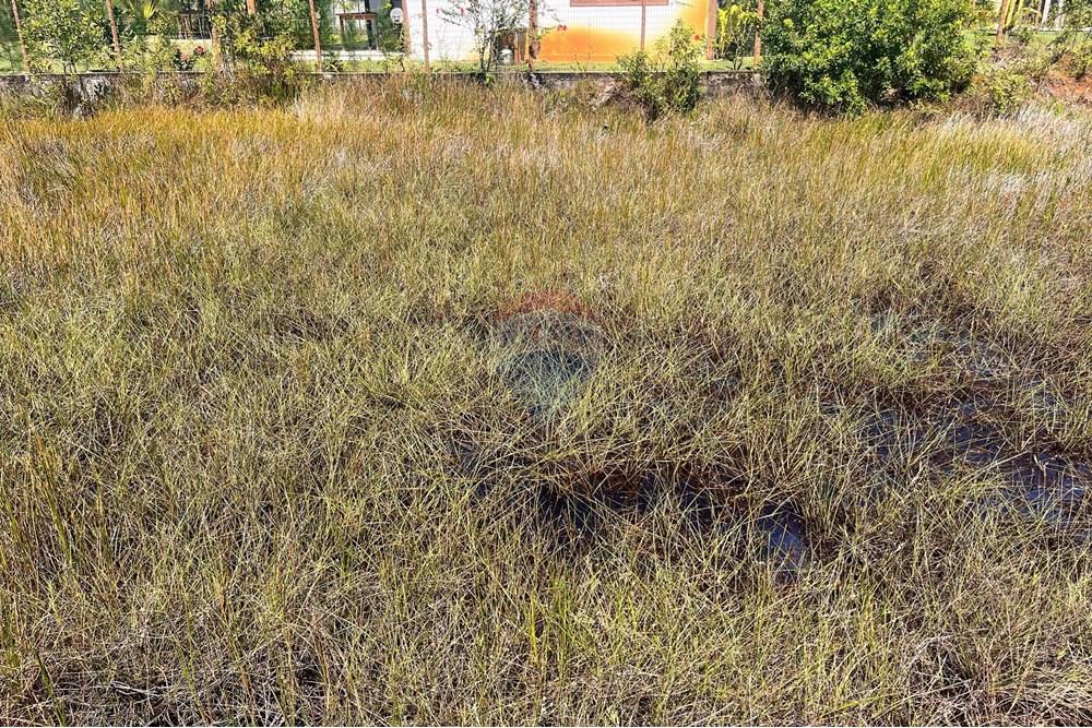 Terreno - Venda - Entre Rios , Bahia - Terreno Sauipe12.jpg - 580491009-81