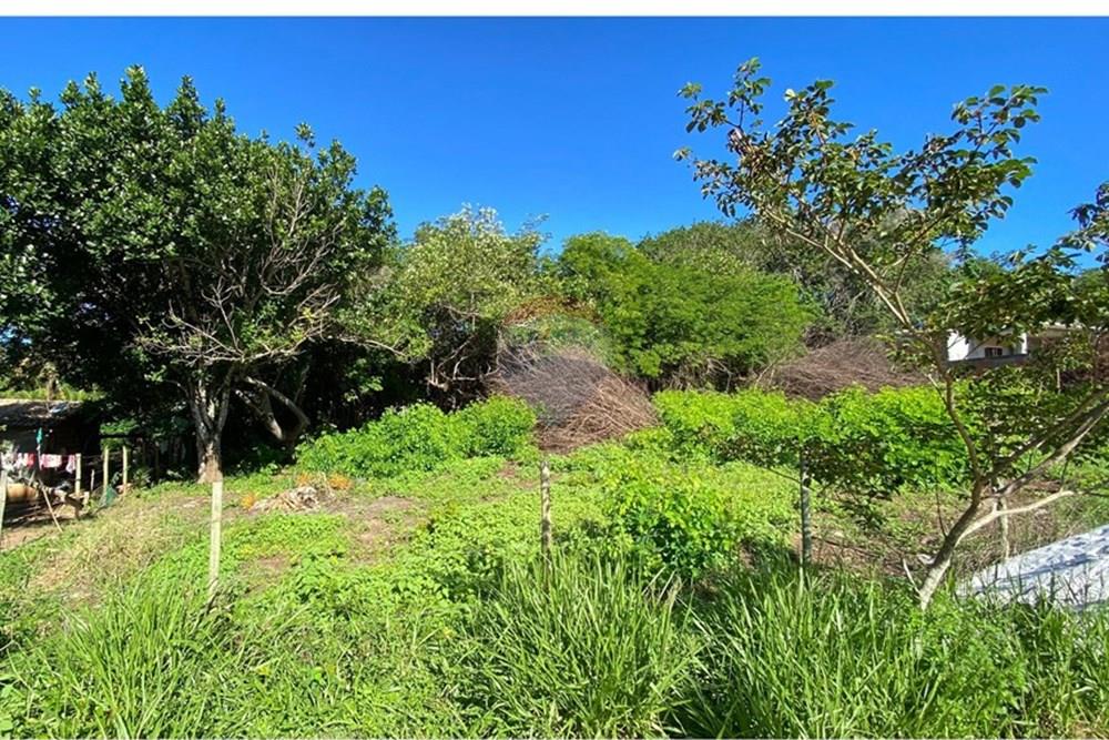 Terreno - Venda - Mata de São João , Bahia - 04afc107-82b9-4c48-be46-d9b24ec5de8f.jpg - 580601014-64