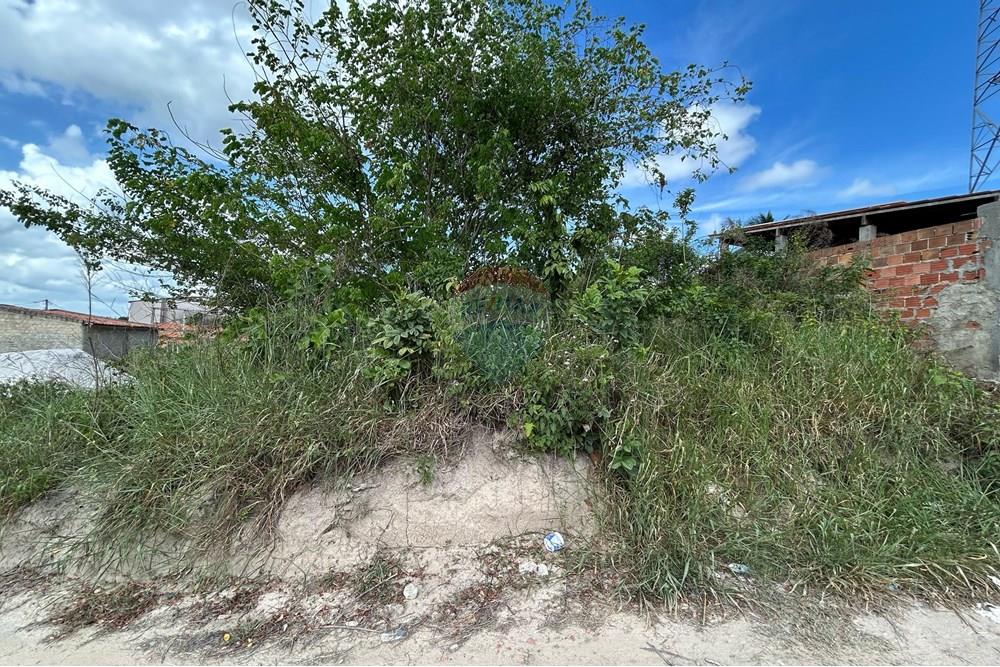 Terreno - Venda - Alagoinhas , Bahia - WhatsApp Image 2025-02-17 at 15.17.06.jpeg - 580701006-43