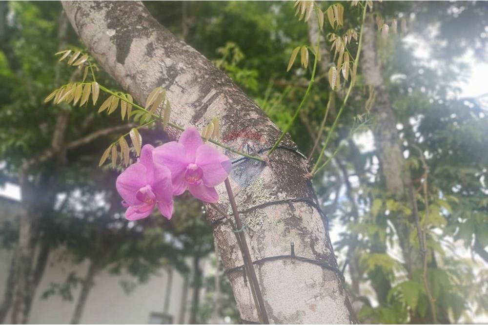 Casa de Condomínio - Alugar - Camaçari , Bahia - WhatsApp Image 2024-12-10 at 15.05.13.jpeg - 580561046-233