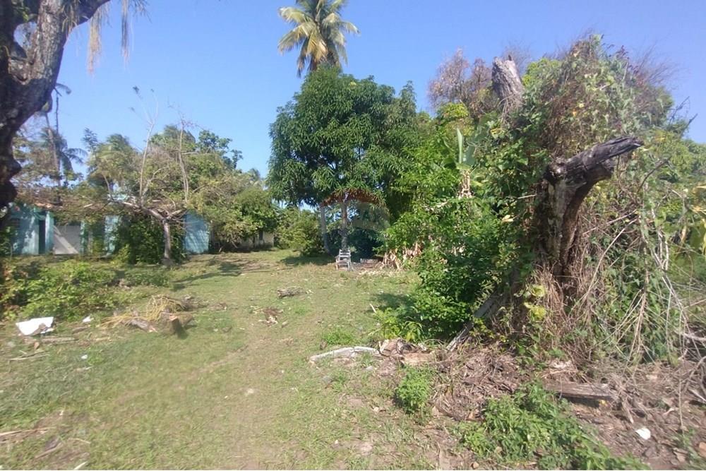 Terreno - Venda - Vera Cruz , Bahia - WhatsApp Image 2024-11-23 at 06.42.45.jpeg - 580401026-39