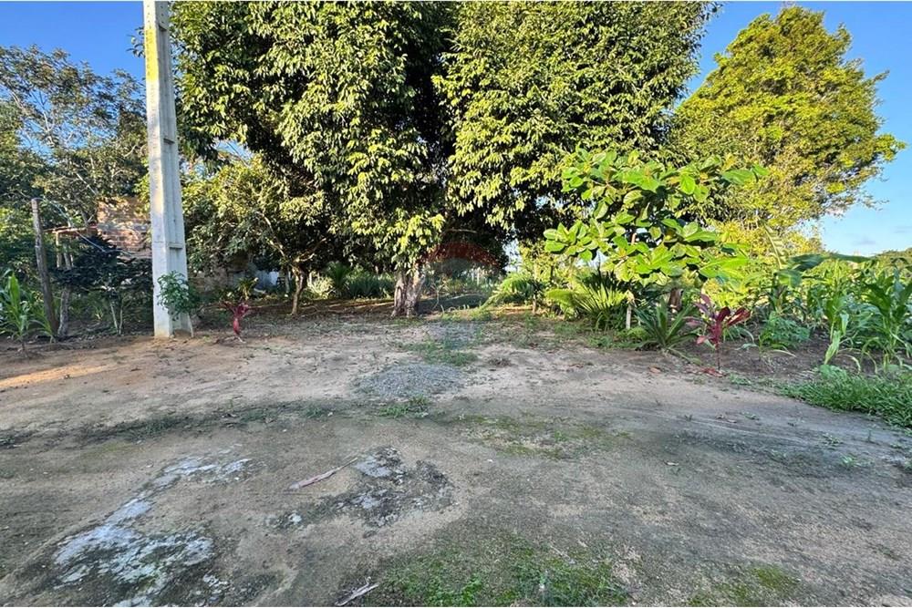 Terreno - Venda - Porto Seguro , Bahia - WhatsApp Image 2025-06-03 at 21.26.57 (2).jpeg - 580811018-20