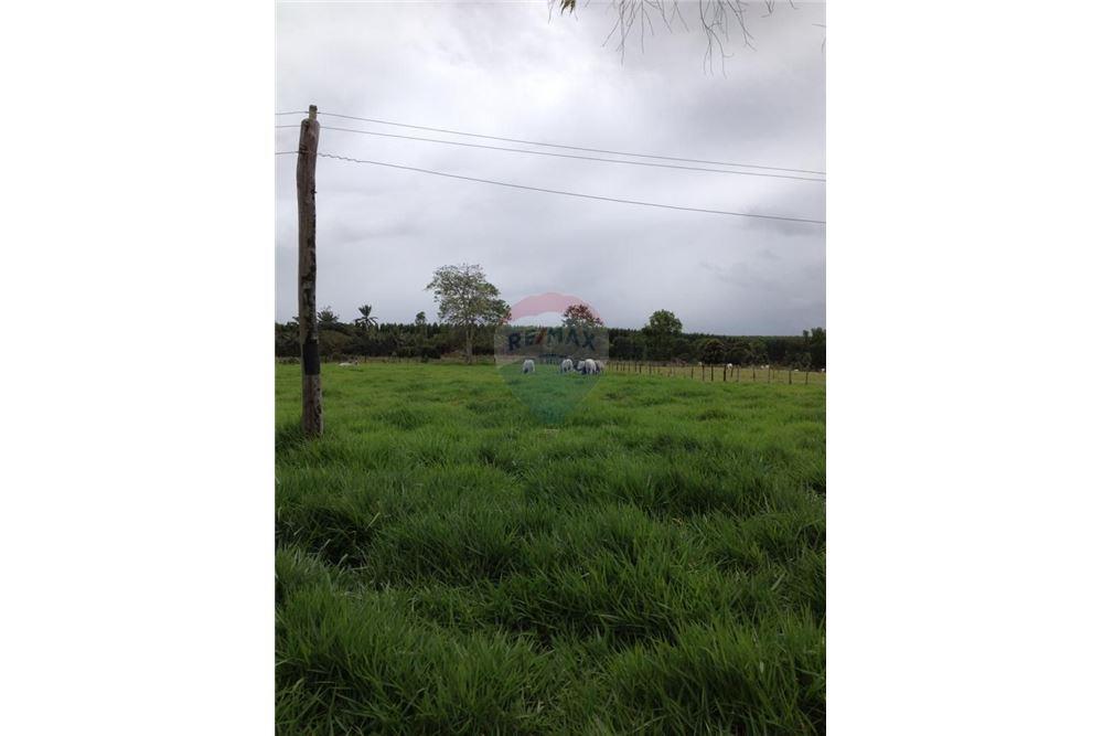 Chácara / Sítio / Fazenda - Venda - Mucuri , Bahia - 5 - 580411006-263