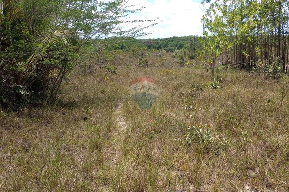Terreno - Venda - Alagoinhas , Bahia - WhatsApp Image 2025-01-15 at 18.20.07.jpeg - 580701006-42