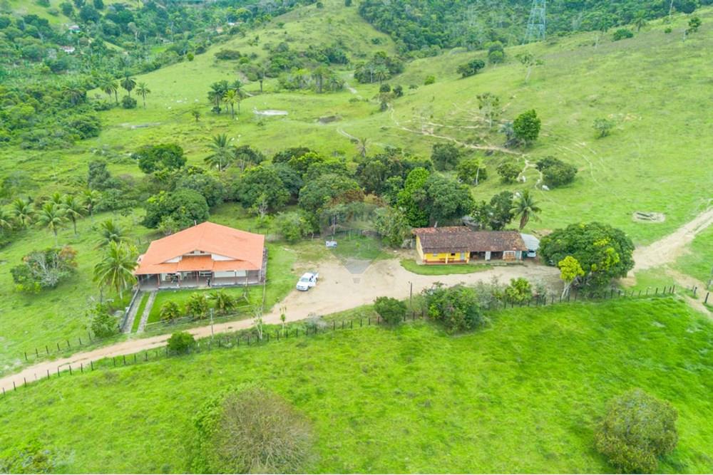 Chácara / Sítio / Fazenda - Venda - Ubaíra , Bahia - WhatsApp Image 2024-12-17 at 14.37.18 (4).jpeg - 580341012-76