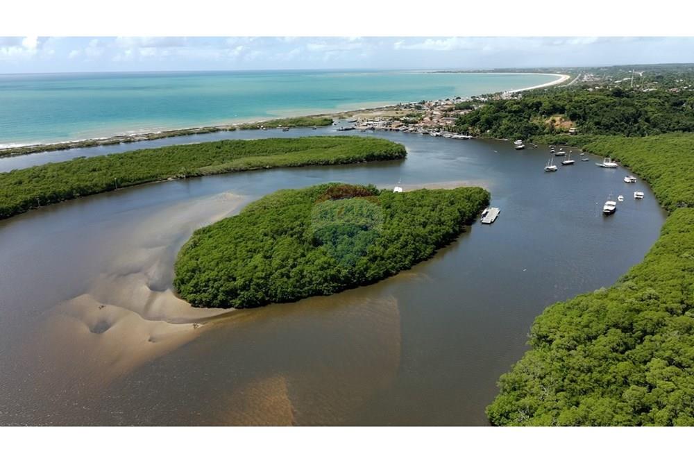 Agro - Venda - Santa Cruz Cabrália , Bahia - IMG-20250309-WA0020.jpg - 580581034-35