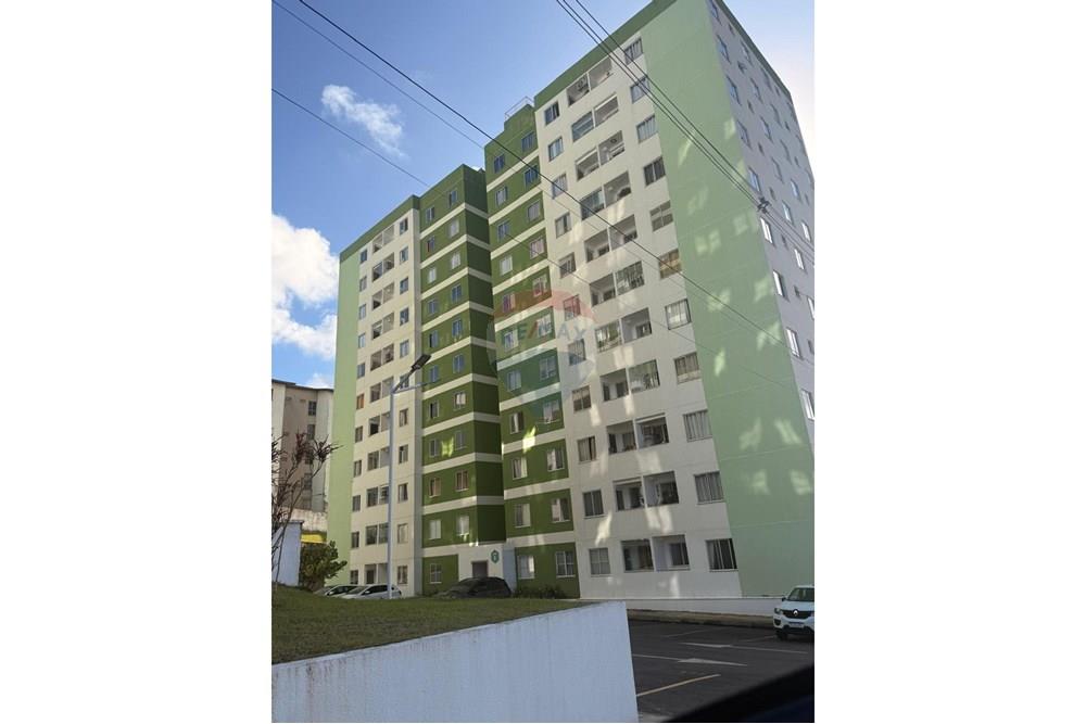 Apartamento - Venda - Salvador , Bahia - WhatsApp Image 2025-09-03 at 21.38.09 (1).jpeg - 580551067-102