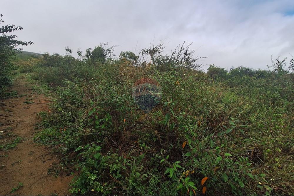 Terreno - Venda - Vitória da Conquista , Bahia - WhatsApp Image 2025-06-04 at 15.53.48.jpeg - 580831002-94