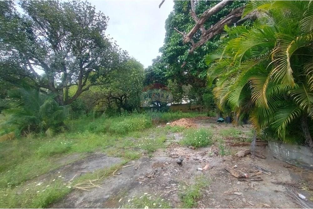 Terreno - Venda - Camaçari , Bahia - WhatsApp Image 2025-10-28 at 14.54.21.jpeg - 580561046-234