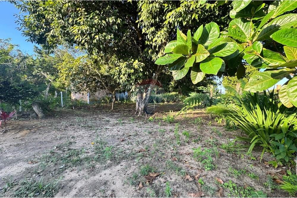 Terreno - Venda - Porto Seguro , Bahia - WhatsApp Image 2025-06-03 at 21.26.57 (1).jpeg - 580811018-20