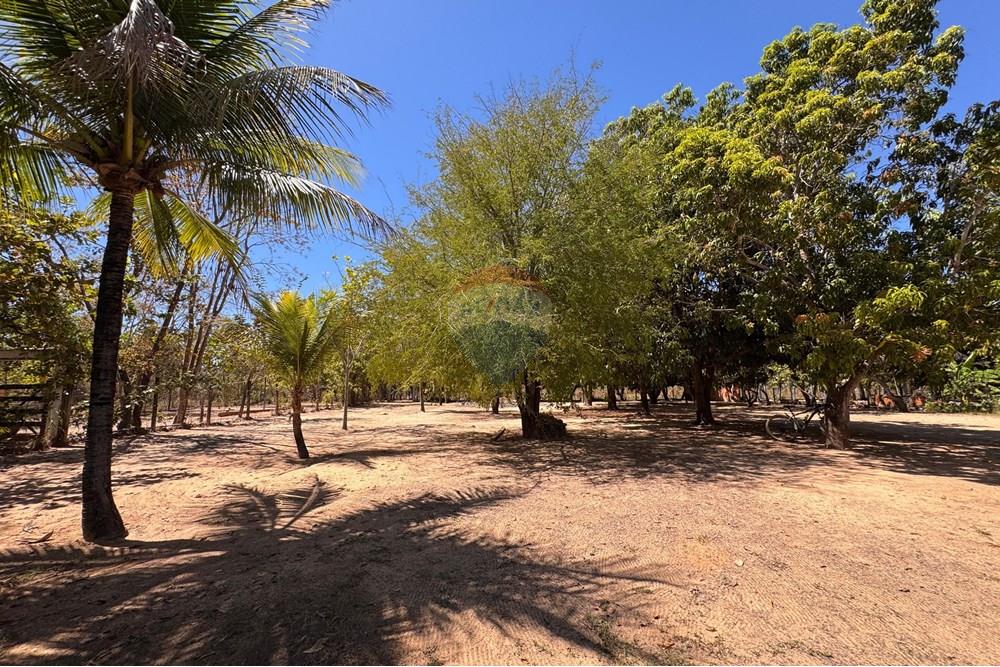 Chácara / Sítio / Fazenda - Venda - Barreiras , Bahia - WhatsApp Image 2025-09-18 at 10.39.26 (2).jpeg - 580651042-73