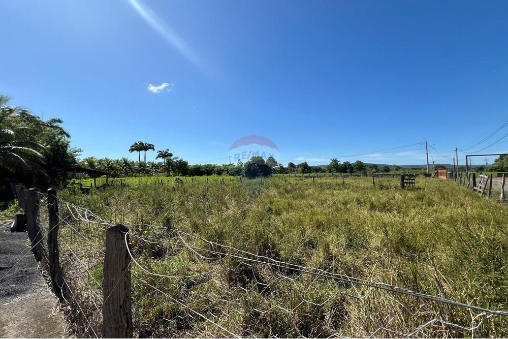 Mieszkaniowa - Gospodarstwo - São Desidério , Bahia - BR - IMG-20250218-WA0040.jpg - 580651049-112