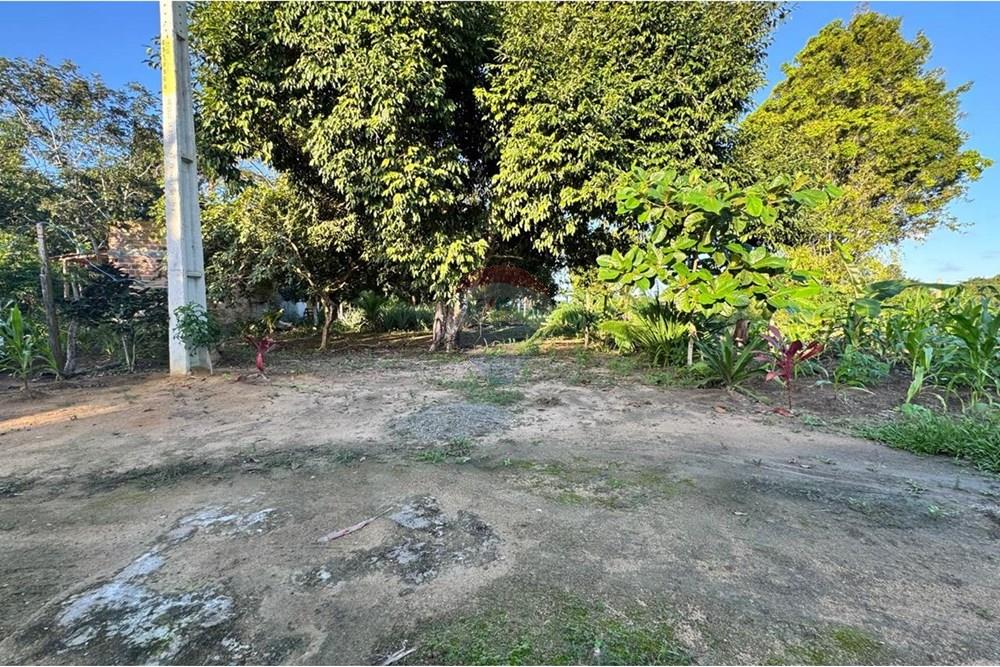 Terreno - Venda - Porto Seguro , Bahia - WhatsApp Image 2025-06-03 at 21.26.57 (3).jpeg - 580811018-20