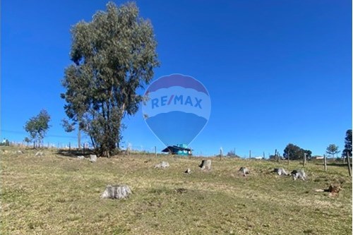 Venda-Terreno-Jardim das Camélias , Lages , Santa Catarina , 88519440-590071041-43