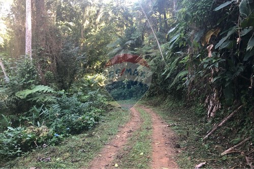 Venda-Terreno-Tiroleses , Timbó , Santa Catarina , 89120000-590211051-24