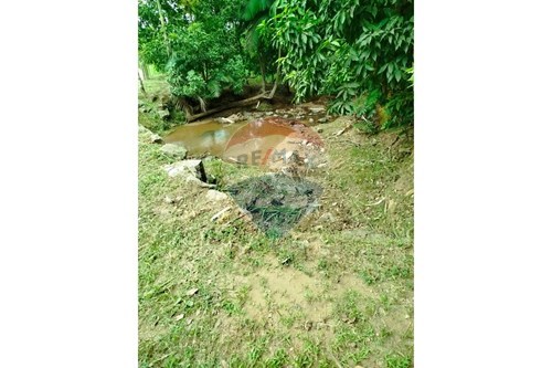 Venda-Chácara / Sítio / Fazenda-Encano do Norte , Indaial , Santa Catarina , 89085495-590301044-30