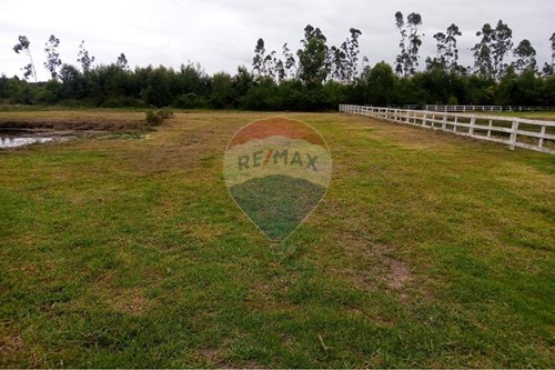 Venda-Terreno-Estrada Geral Costa da Lagoa , s/n  - Condomínio Silvio  - Centro , São João do Sul , Santa Catarina , 88970000-590491005-24