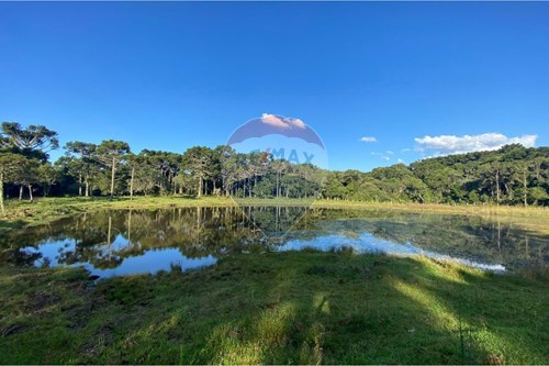 Venda-Chácara / Sítio / Fazenda-Centro , Painel , Santa Catarina , 88543-959-590071044-16