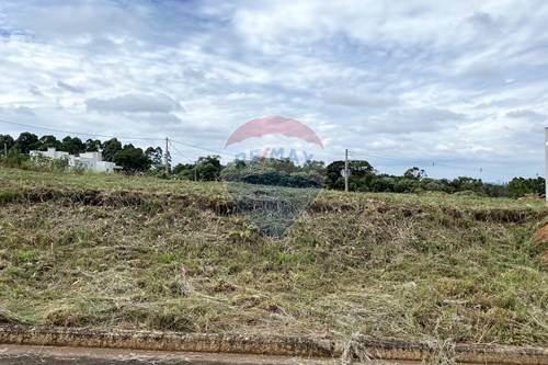 Venda-Terreno-Rua Luiz Sabini , 08  - Loteamento Belmonte , Xaxim , Santa Catarina , 89825000-590421016-12