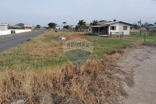 Venda-Terreno-Rua Fermino Pedro Raupp , s/n  - Centro , Santa Rosa do Sul , Santa Catarina , 88965000-590491005-21