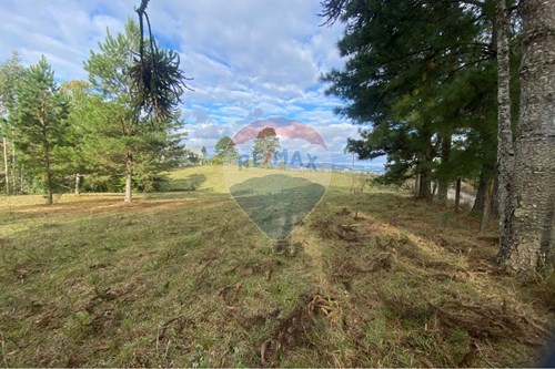 Venda-Terreno-Jardim das Camélias , Lages , Santa Catarina , 88519200-590071041-13