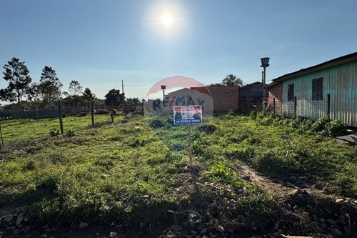 Venda-Terreno-Rua Ântonio R. da Rosa , s/n  - Centro , Santa Rosa do Sul , Santa Catarina , 88965000-590491005-2