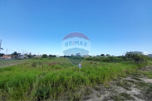 Venda-Terreno-Rua Rafael Fernandes , s/n  - Próximo a APAE  - Centro , Santa Rosa do Sul , Santa Catarina , 88965000-590491005-9