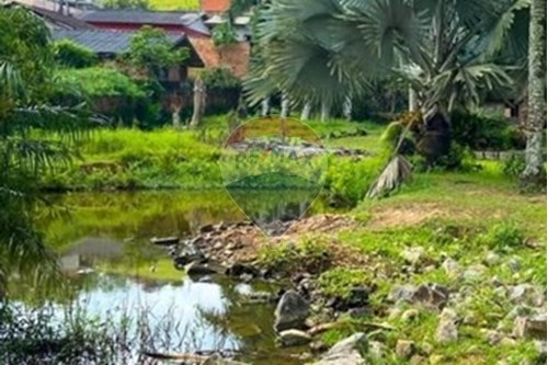 Venda-Chácara / Sítio / Fazenda-Rio da Luz , Jaraguá do Sul , Santa Catarina , 89264430-590451031-26