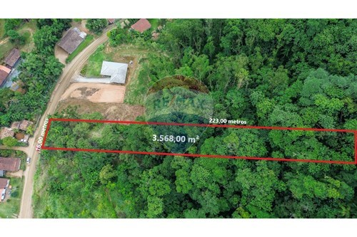 Venda-Terreno-Ribeirão Tigre , Benedito Novo , Santa Catarina , 89124000-590211007-100