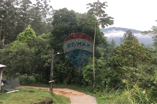 Venda-Terreno-Imigrantes , Timbó , Santa Catarina , 89120000-590211051-22