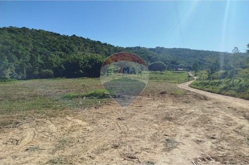 Venda-Chácara / Sítio / Fazenda-Margem Esquerda , Apiúna , Santa Catarina , 89135000-590301027-110