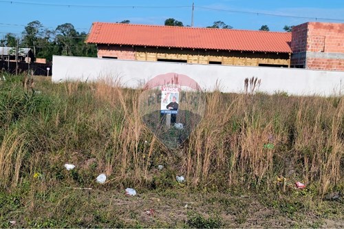 Venda-Terreno-Centro , Araquari , Santa Catarina , 89245000-590501001-117