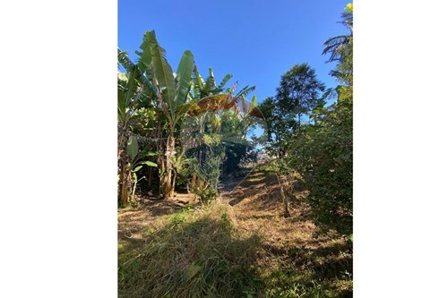 Slider 360 thumbnail