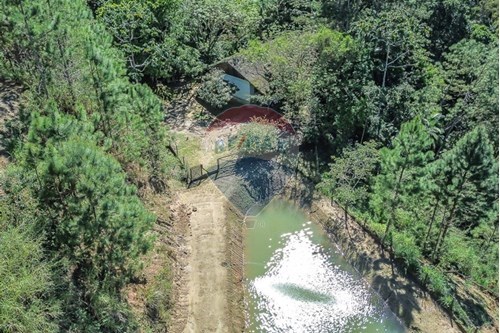 Venda-Chácara / Sítio / Fazenda-Mulde Central , Timbó , Santa Catarina , 89120000-590211051-38