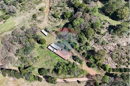 Venda-Chácara / Sítio / Fazenda-Vila Diadema , sn  - Distrito Diadema , Xaxim , Santa Catarina , 89825000-590421017-6