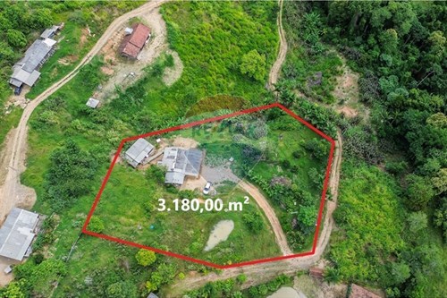 Venda-Chácara / Sítio / Fazenda-Rodeio 50 , Rodeio , Santa Catarina , 89136000-590211048-5