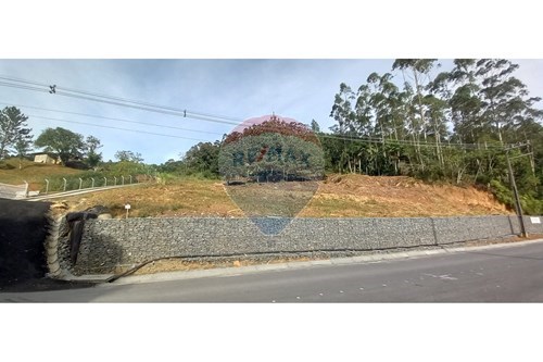 Venda-Terreno-rua Ministro Luiz Gadotti , s/N  - Barra São João  - Barra São João , Benedito Novo , Santa Catarina , 89124-000-590211033-56