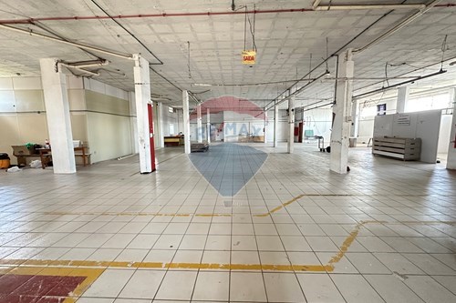 Alugar-Cj. Comercial/ Sala-Parque das Avenidas , Sombrio , Santa Catarina , 88960000-590491002-56